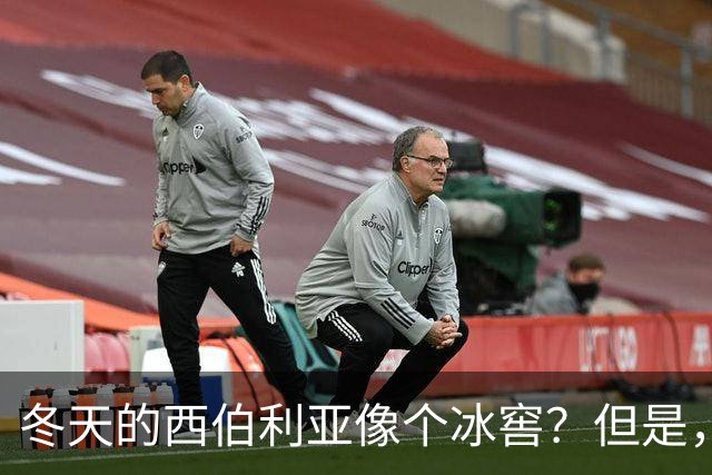 冬天的西伯利亚像个冰窖？但是，它却是俄罗斯的＂摇钱树＂