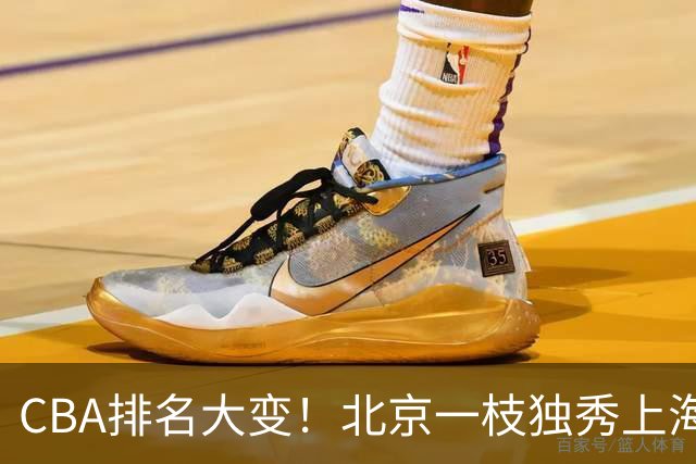 CBA排名大变！北京一枝独秀上海第3，辽宁首败排名第4，广东第15